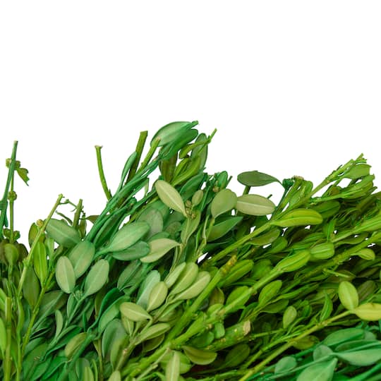 11" Green Foliage Wreath